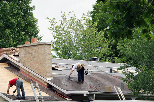 Best Roof Gutter Cleaning  in Aiea, HI