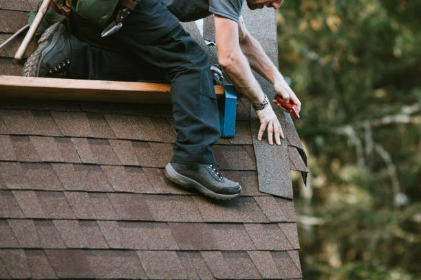 Best Sealant for Roof  in Aiea, HI